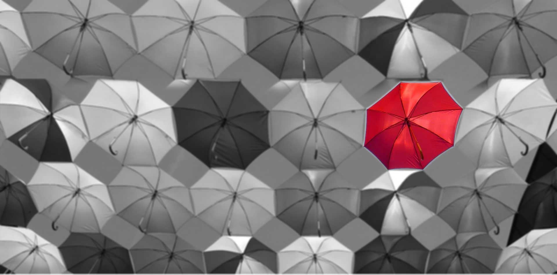 Logo Design In Gurgaon Packaging Design Company In Gurgaon